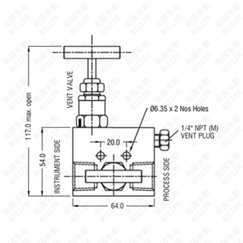 进口二阀组结构 进口二阀组结构